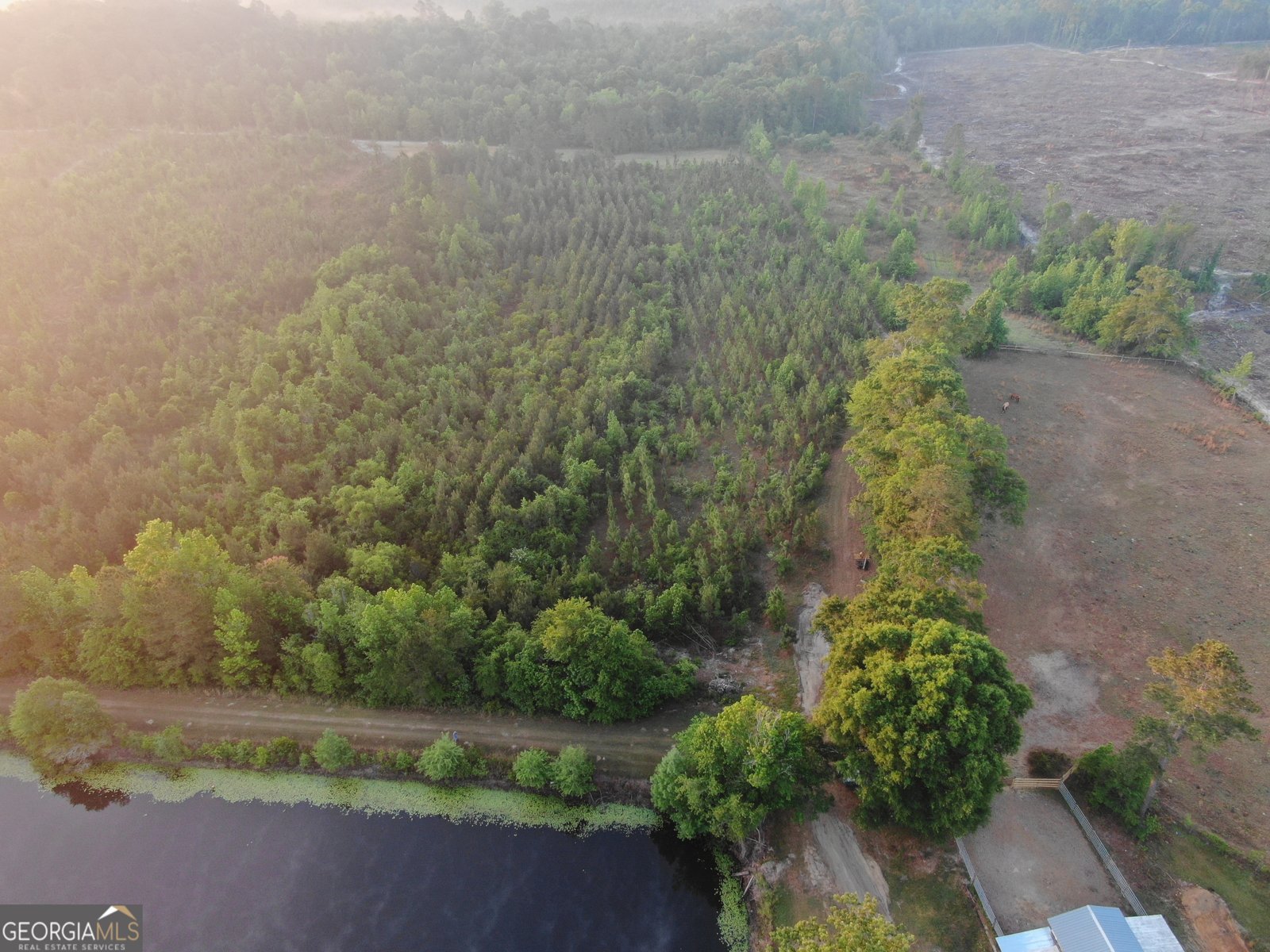 1525 Telfair Line Road Rhine - Photo 71