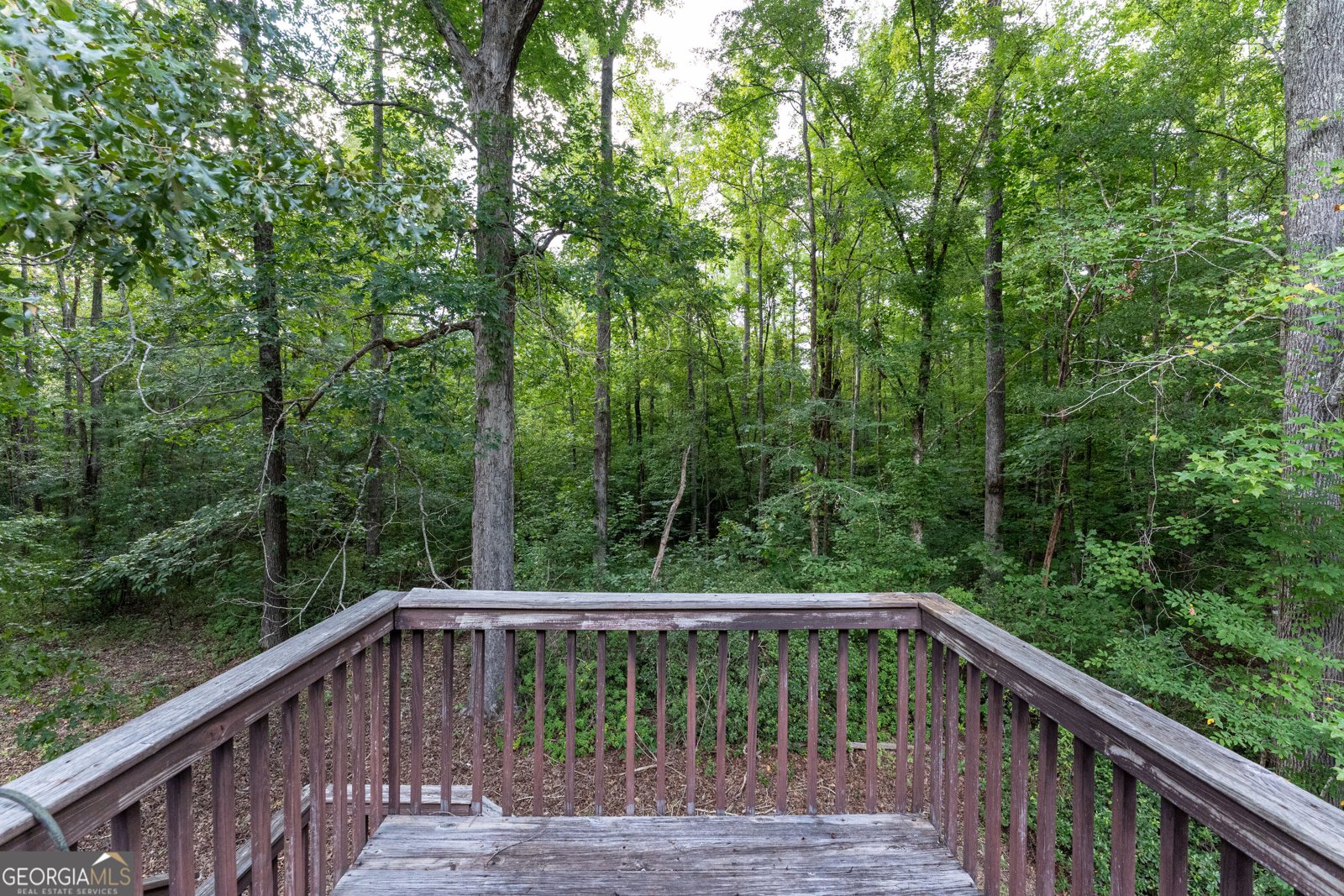 421 Creekside Drive Gray - Photo 29