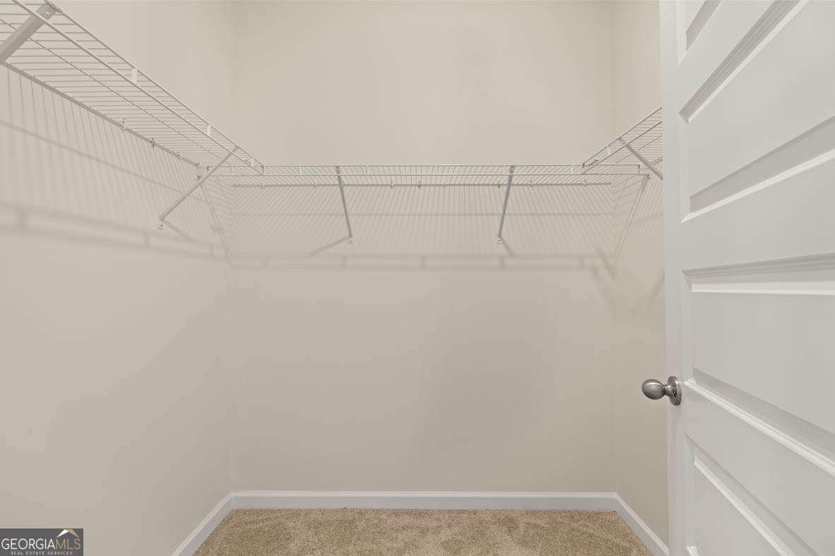 8555 Secretariat Drive Lithonia - Photo 41