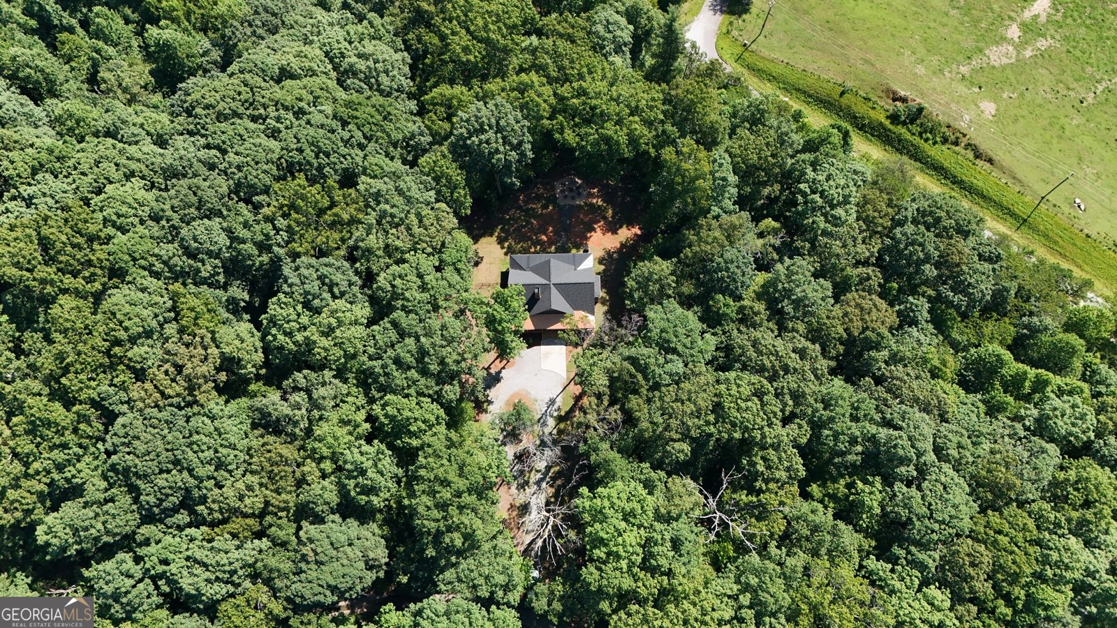 2185 Ben T Huiet Highway Clarkesville - Photo 63