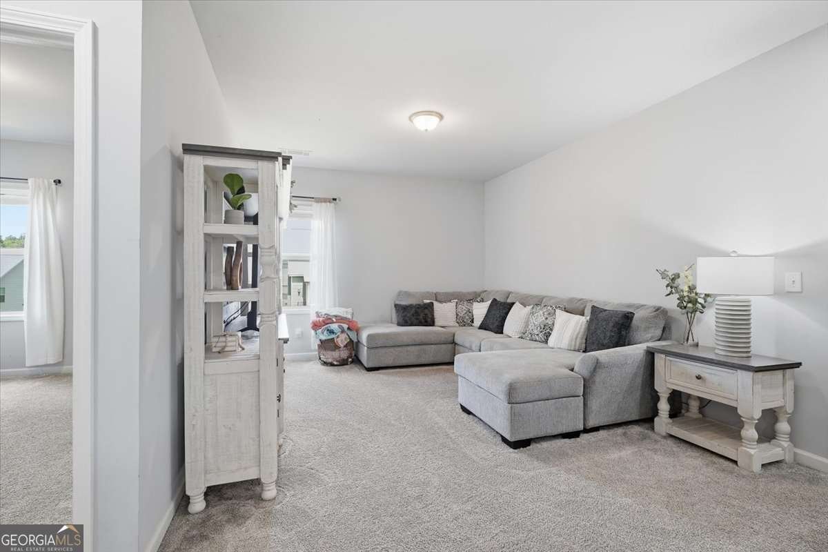 4422 Chestnut Oak Way Gainesville - Photo 41