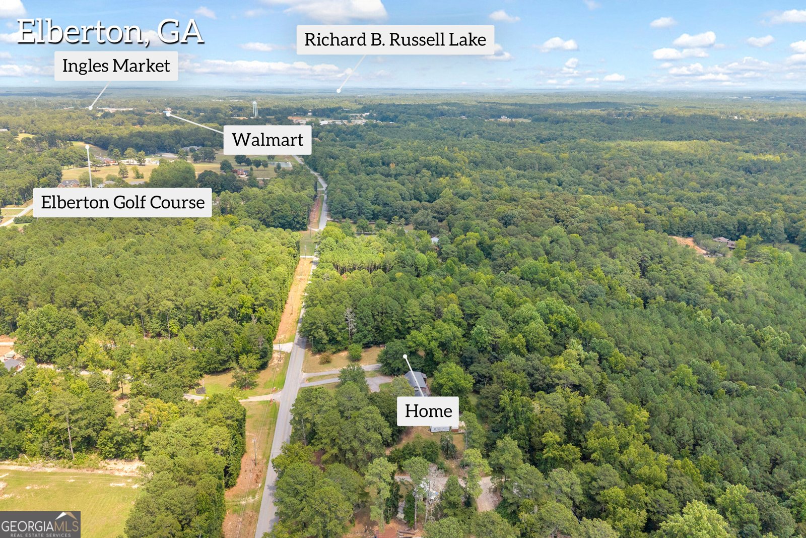 1226 Country Club Road Elberton - Photo 39