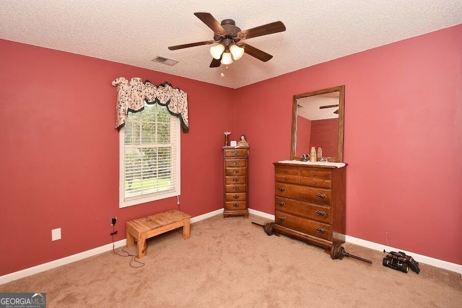 143 Burchfield Run Carrollton - Photo 21