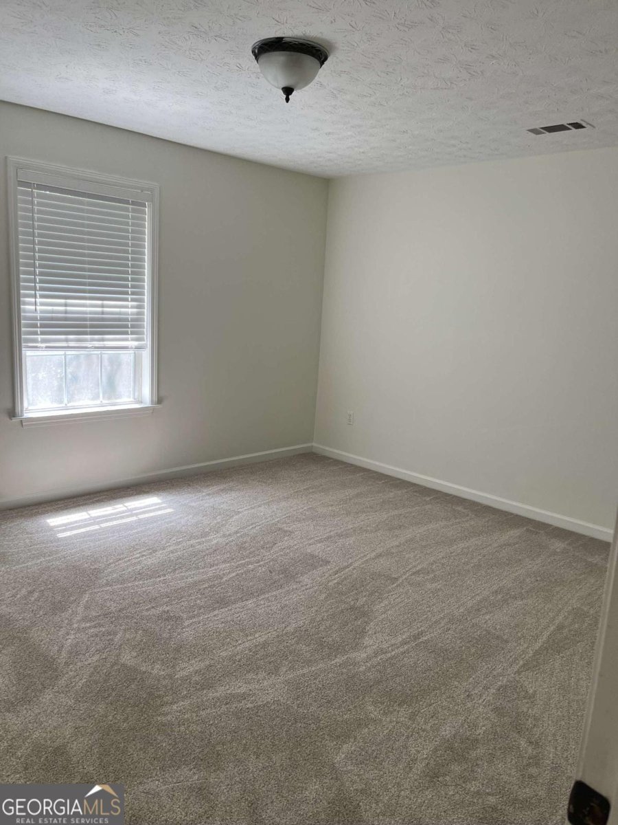 360 River Chase Drive Athens - Photo 6