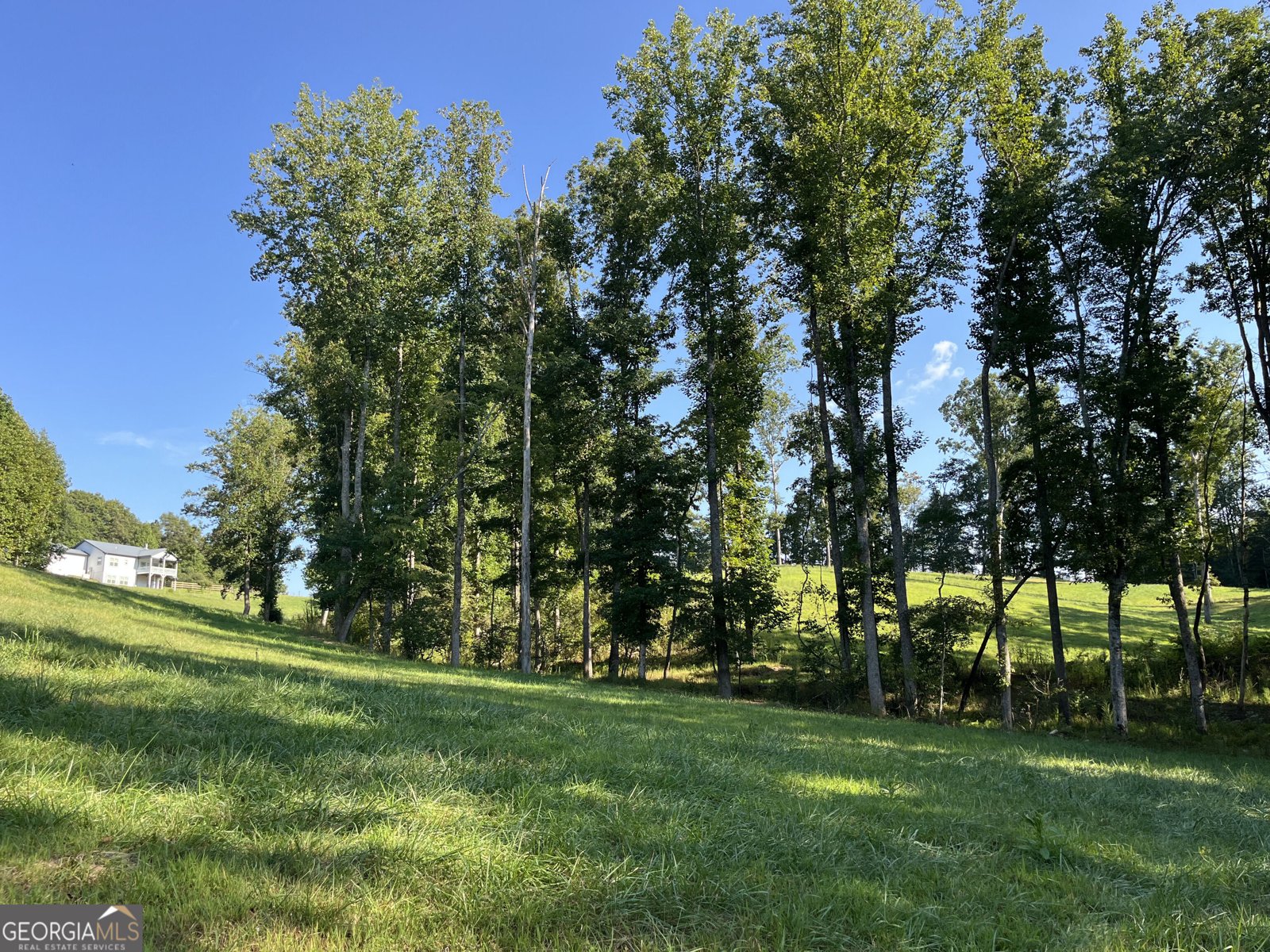 192 Flowers Drive Blairsville - Photo 104