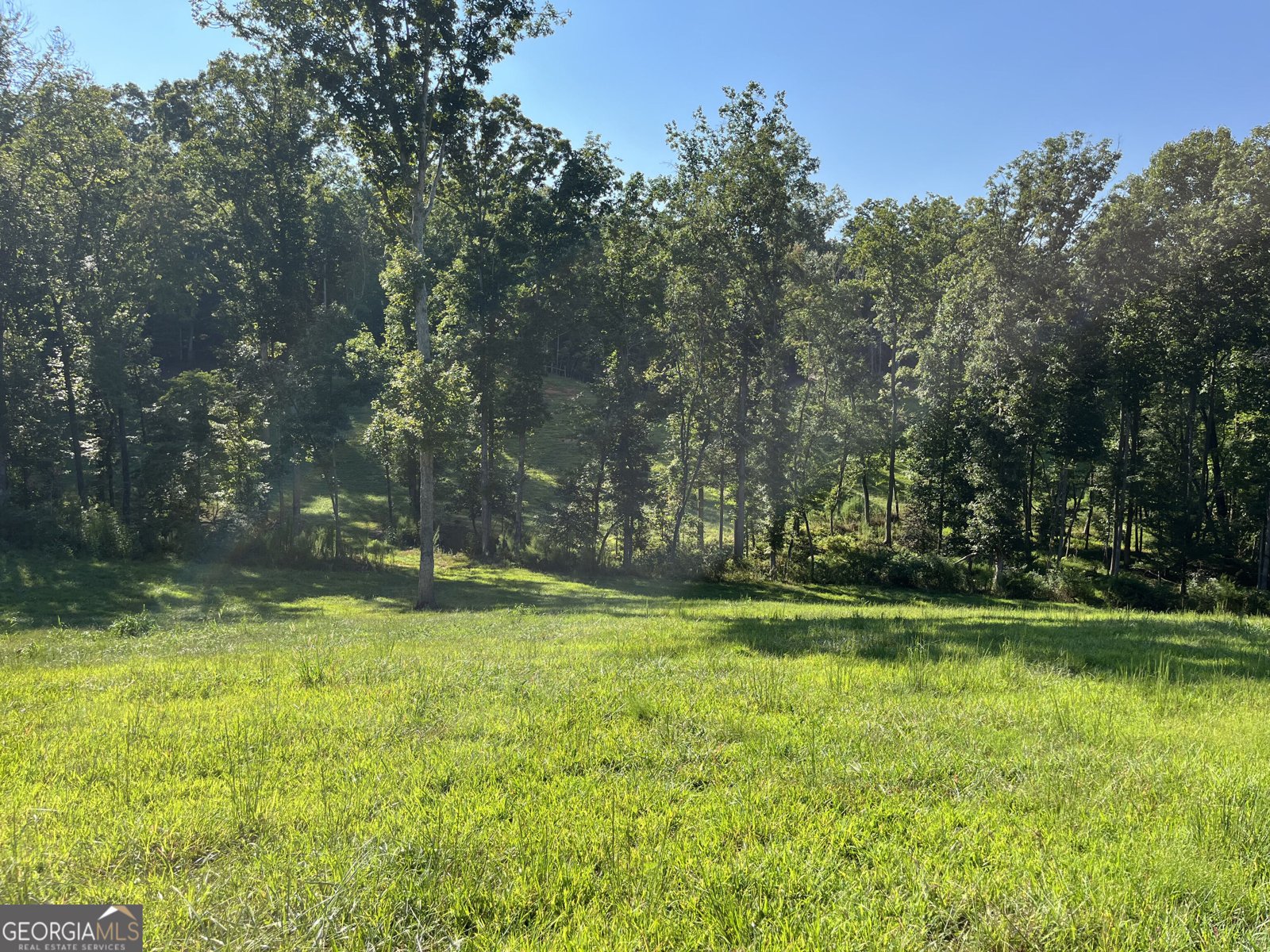 192 Flowers Drive Blairsville - Photo 105