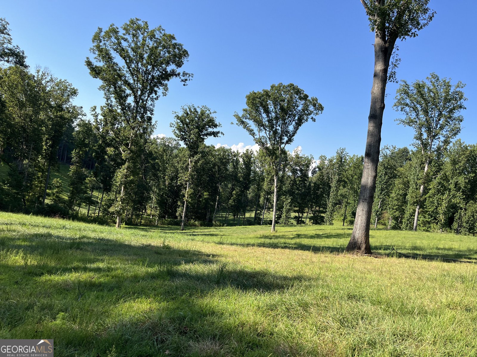 192 Flowers Drive Blairsville - Photo 106
