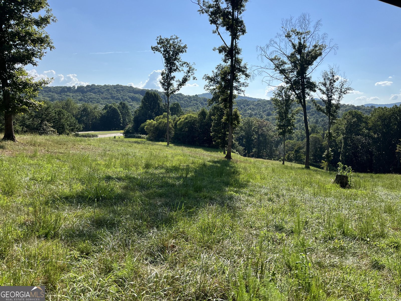 192 Flowers Drive Blairsville - Photo 107
