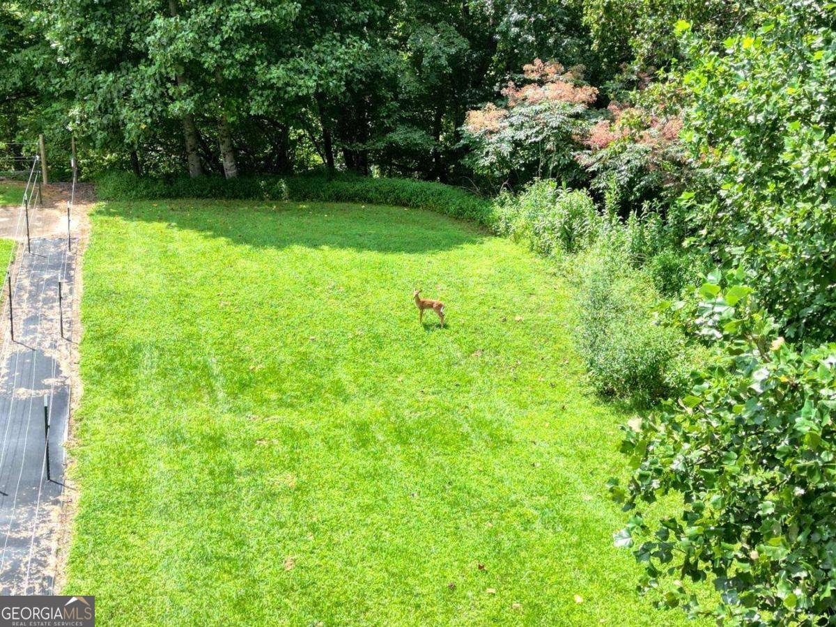 192 Flowers Drive Blairsville - Photo 88