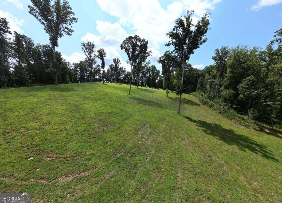 192 Flowers Drive Blairsville - Photo 90