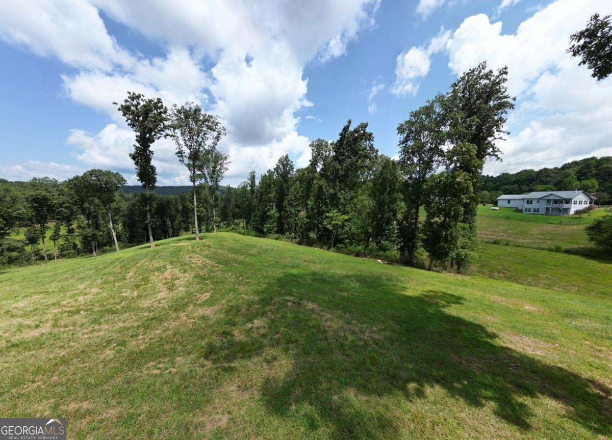 192 Flowers Drive Blairsville - Photo 91