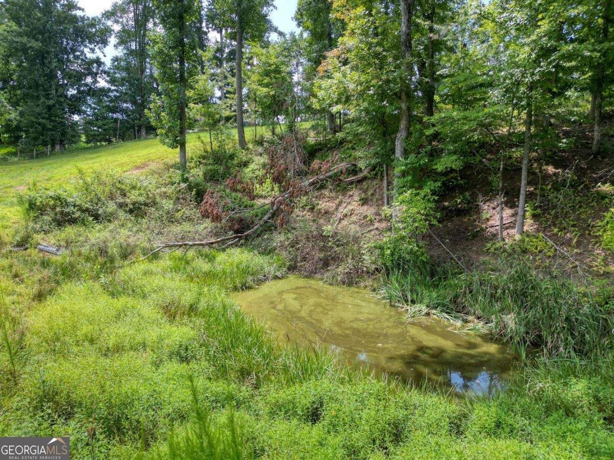 192 Flowers Drive Blairsville - Photo 93