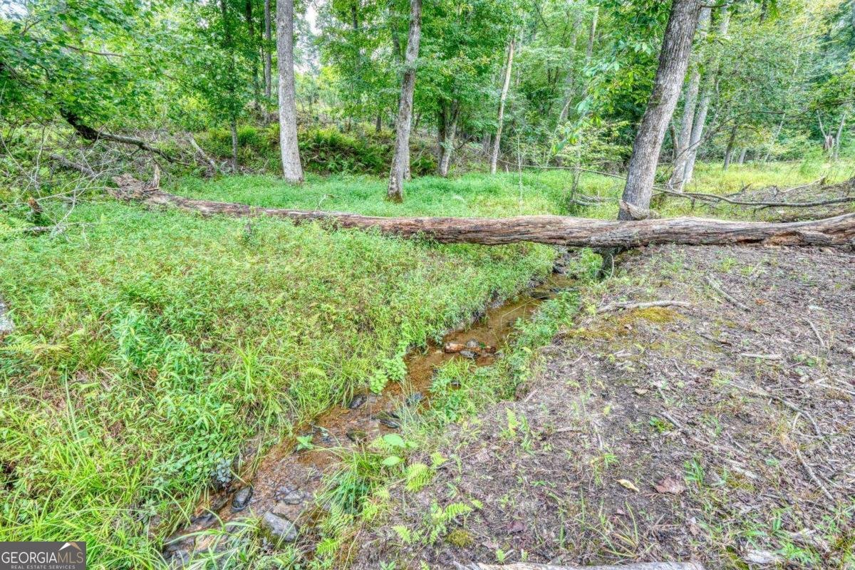 192 Flowers Drive Blairsville - Photo 97