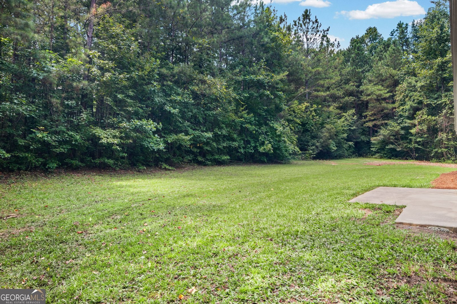 31 Pinelea Drive Newnan - Photo 34