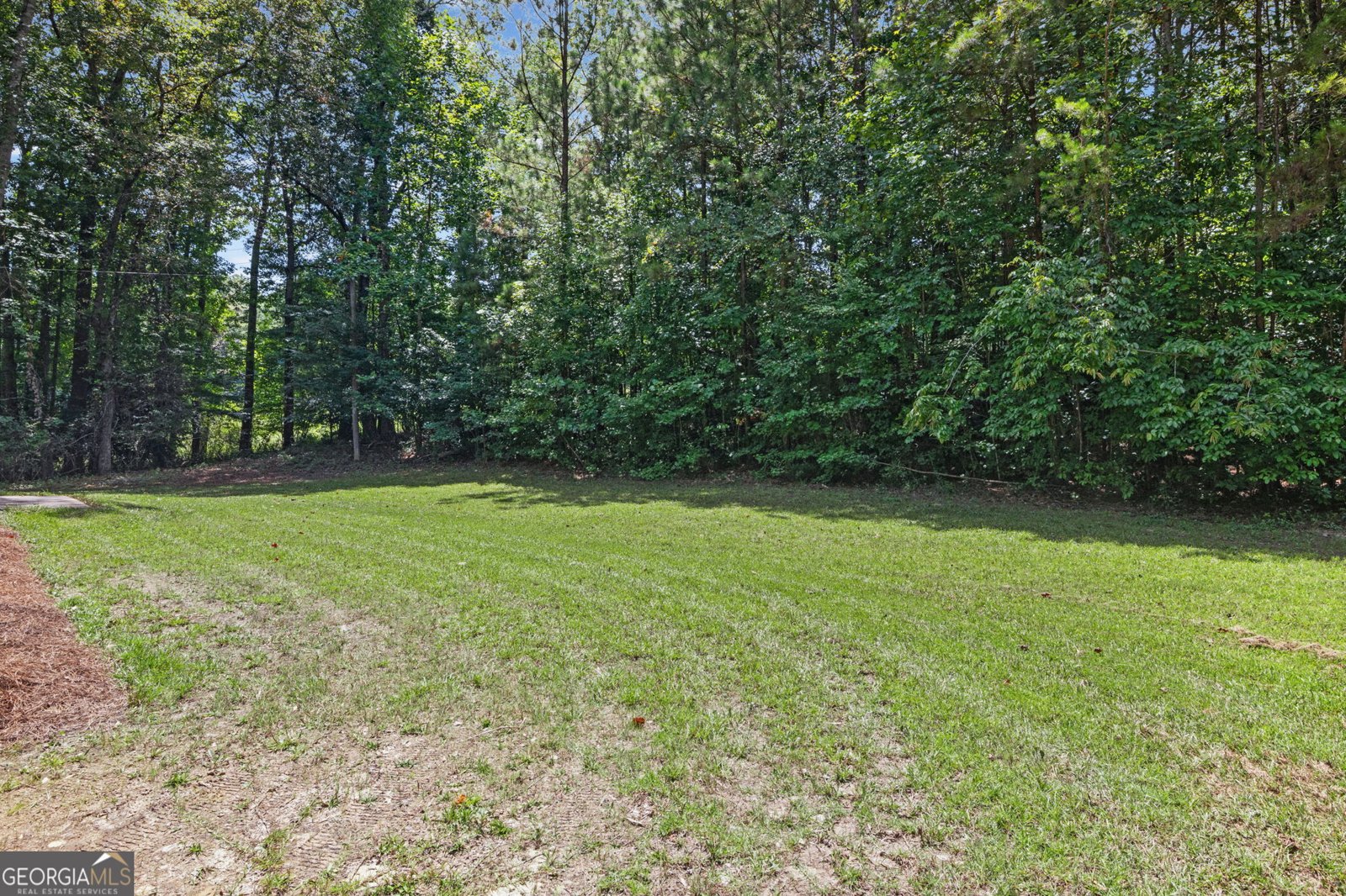 31 Pinelea Drive Newnan - Photo 35