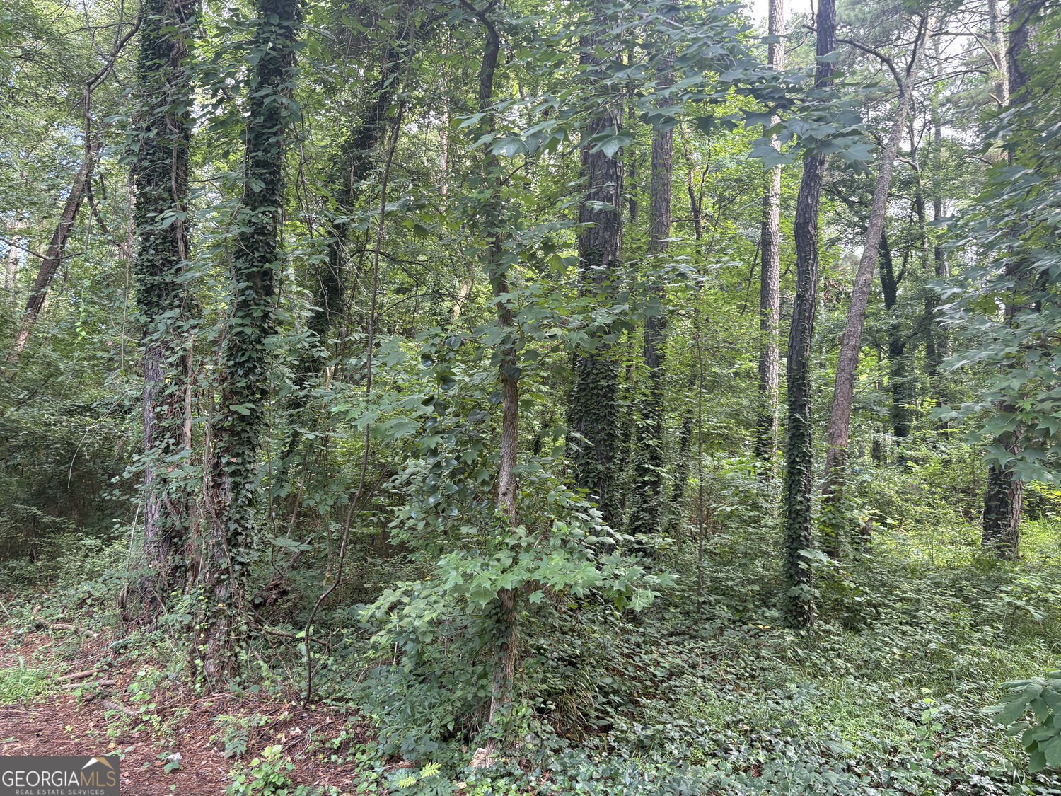 400 Sunset Drive Acworth - Photo 8