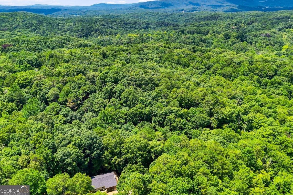 283 Ash Circle Waleska - Photo 6