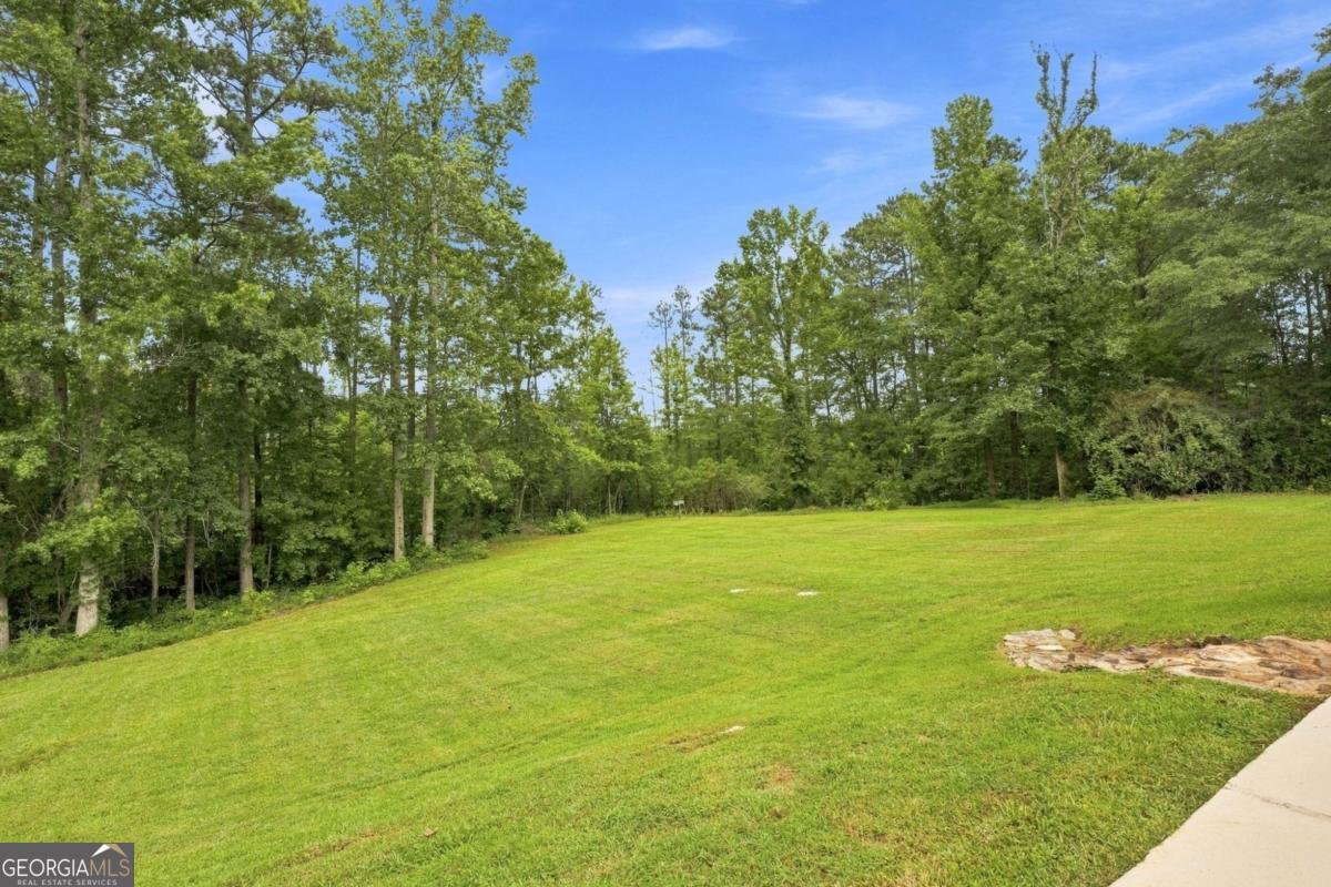 2716 16 Highway Carrollton - Photo 47