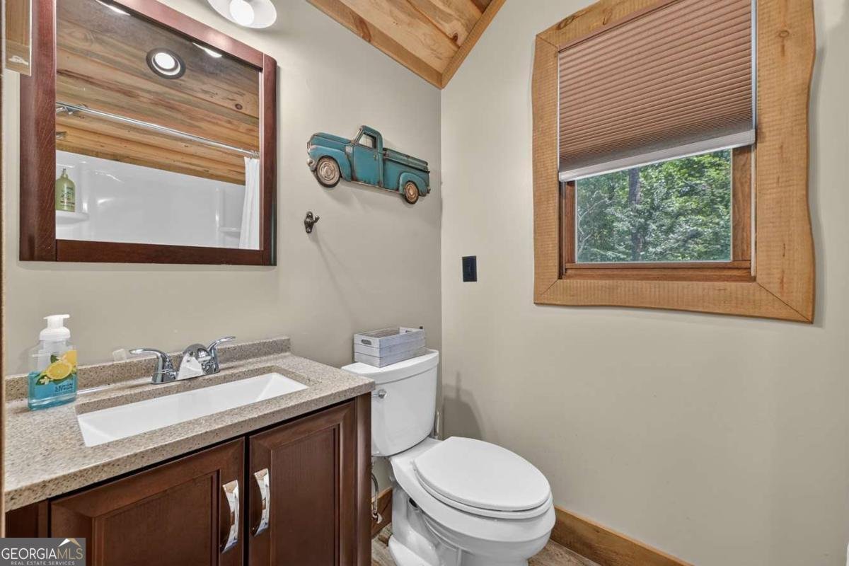 274 Hot House Drive Mineral Bluff - Photo 33