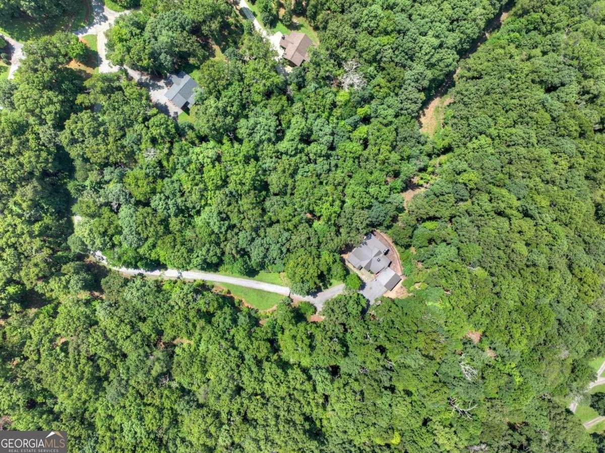 274 Hot House Drive Mineral Bluff - Photo 58