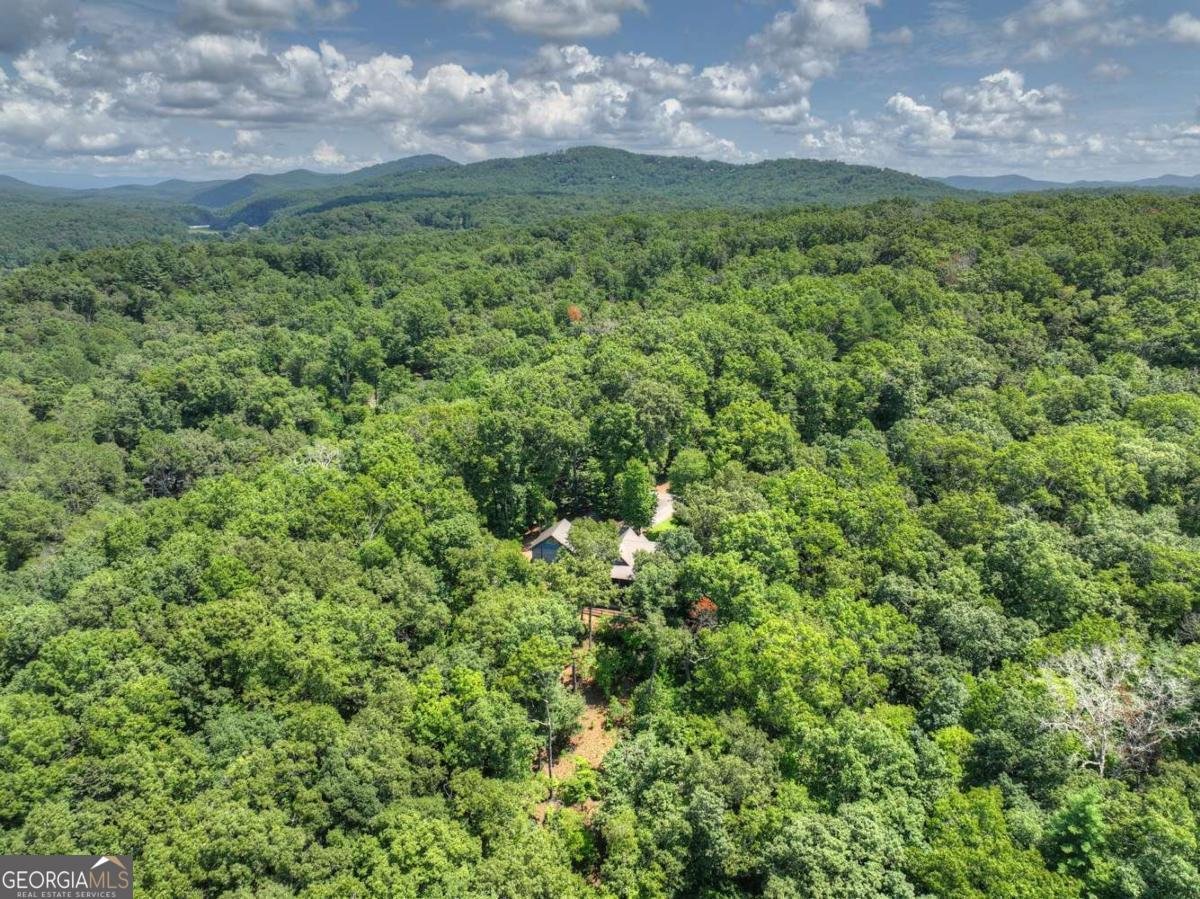 274 Hot House Drive Mineral Bluff - Photo 59