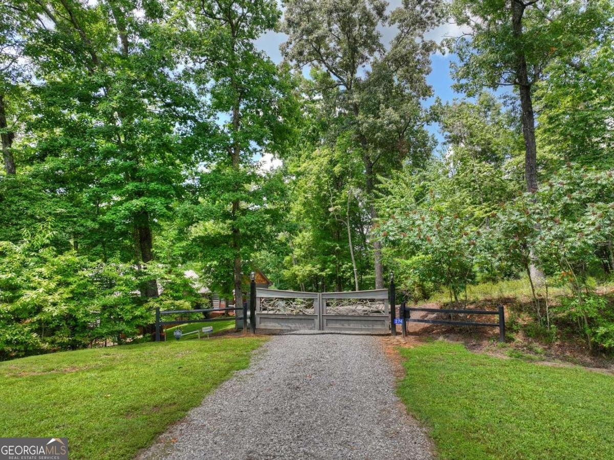 274 Hot House Drive Mineral Bluff - Photo 61