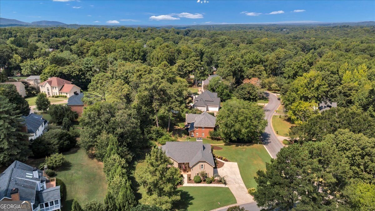 12080 Magnolia Crescent Drive Roswell - Photo 49