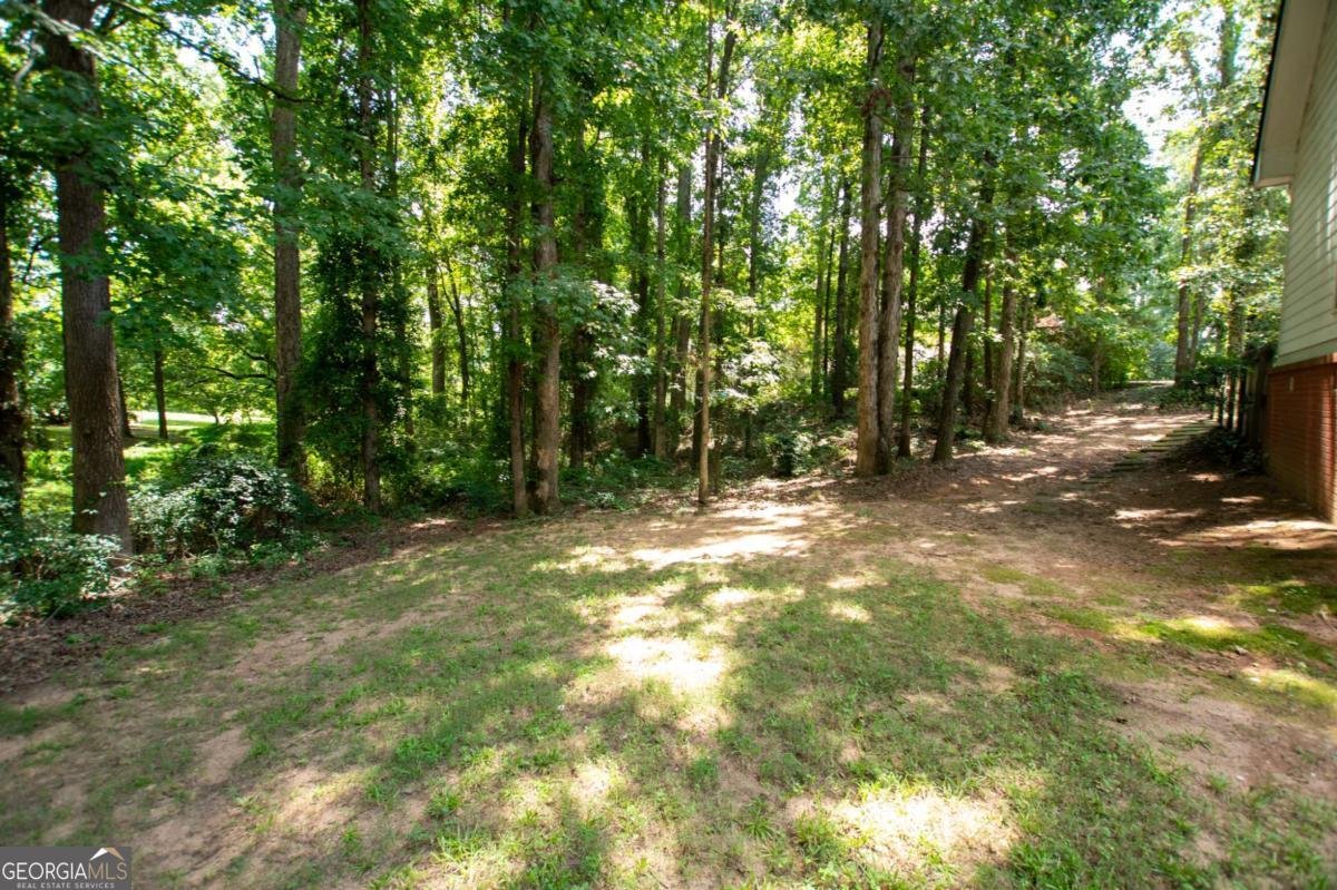 1011 Lakeside Court Bishop - Photo 40