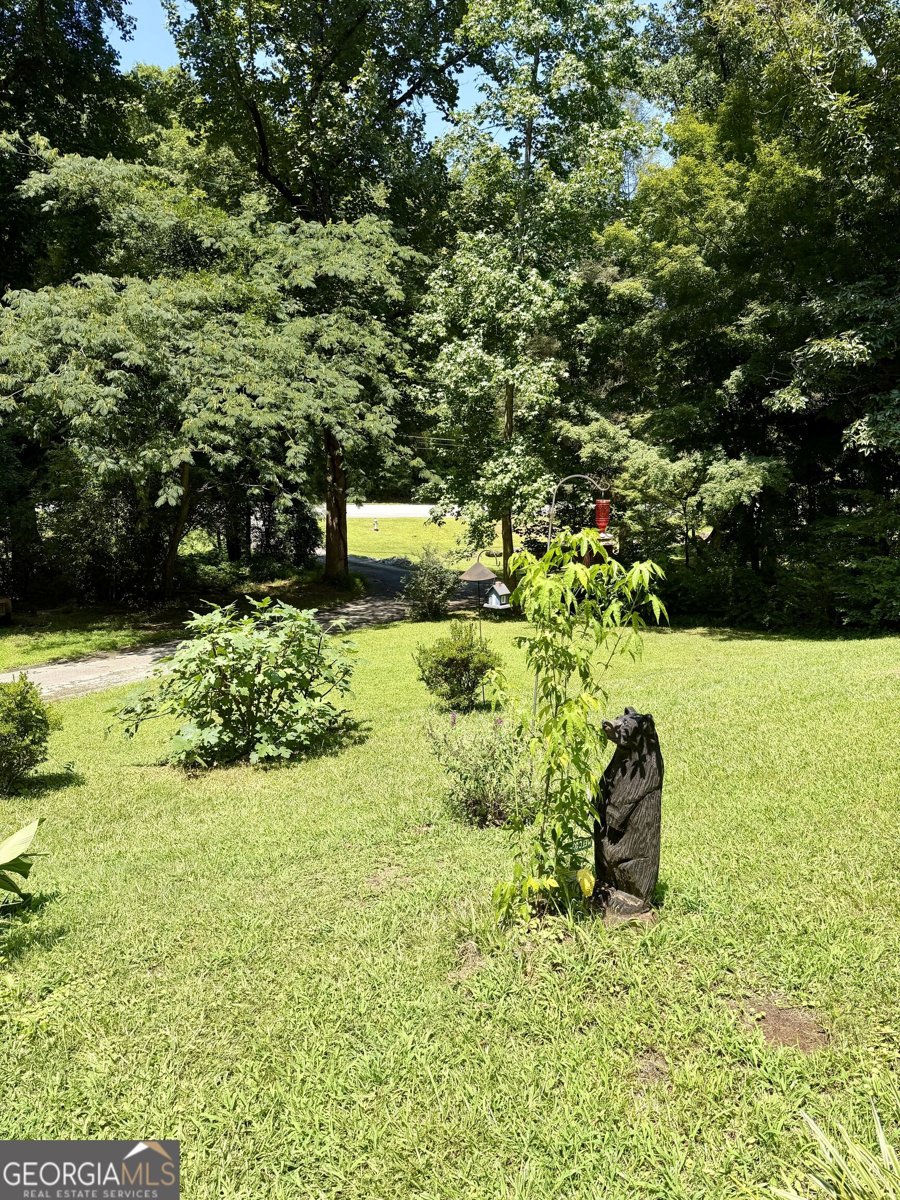 41 Blackwell Drive Cleveland - Photo 21
