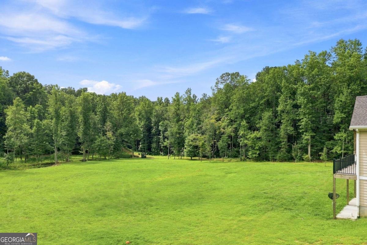 1782 Worley Road Ball Ground - Photo 95