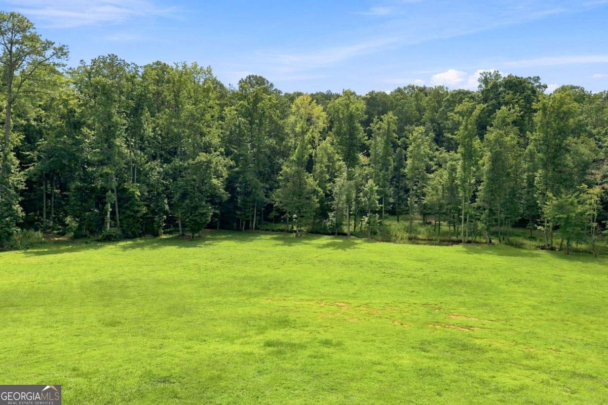1782 Worley Road Ball Ground - Photo 96