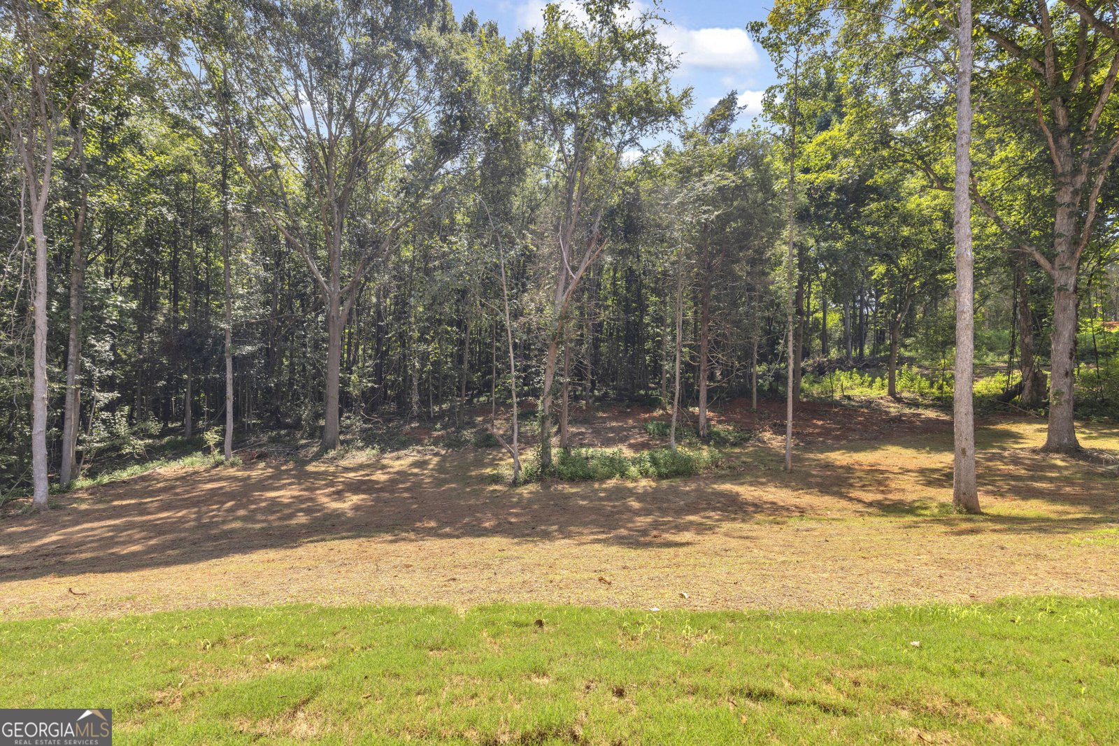 105 Carlan Road Commerce - Photo 43