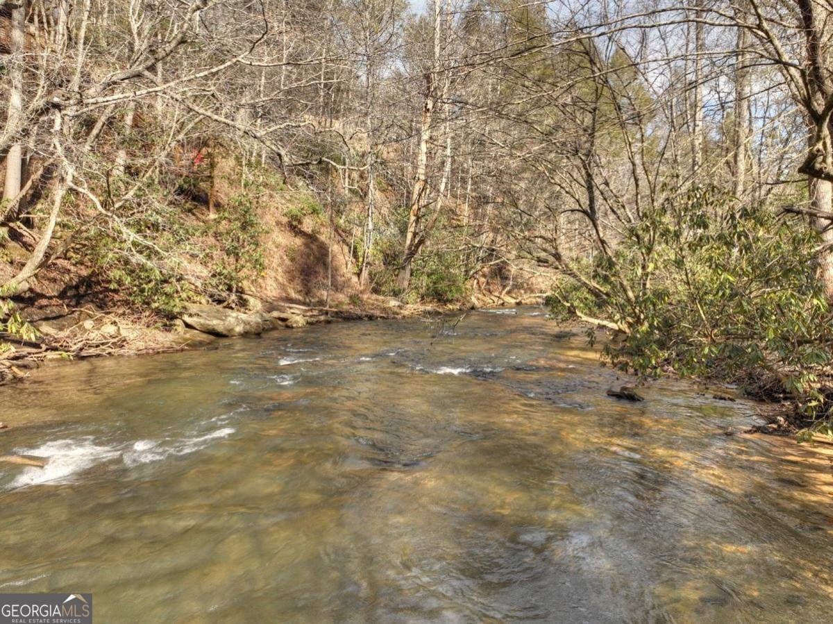 188 Paul Drive Blue Ridge - Photo 47