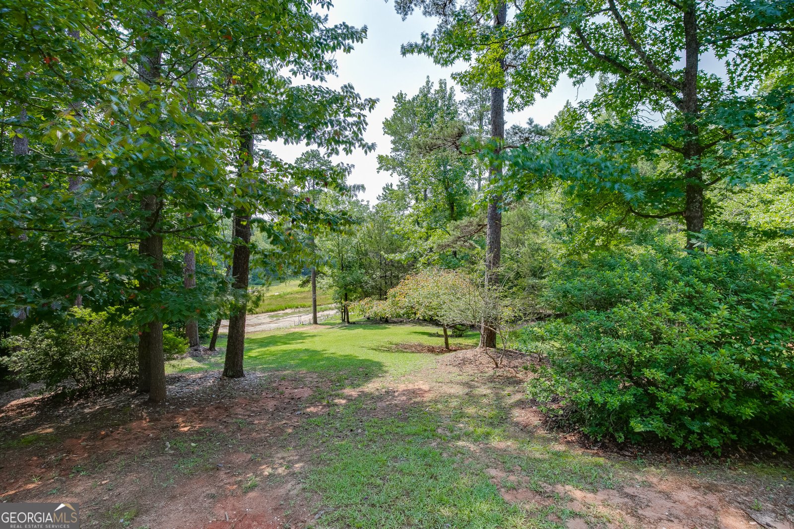 215 Heath Cove Lavonia - Photo 50
