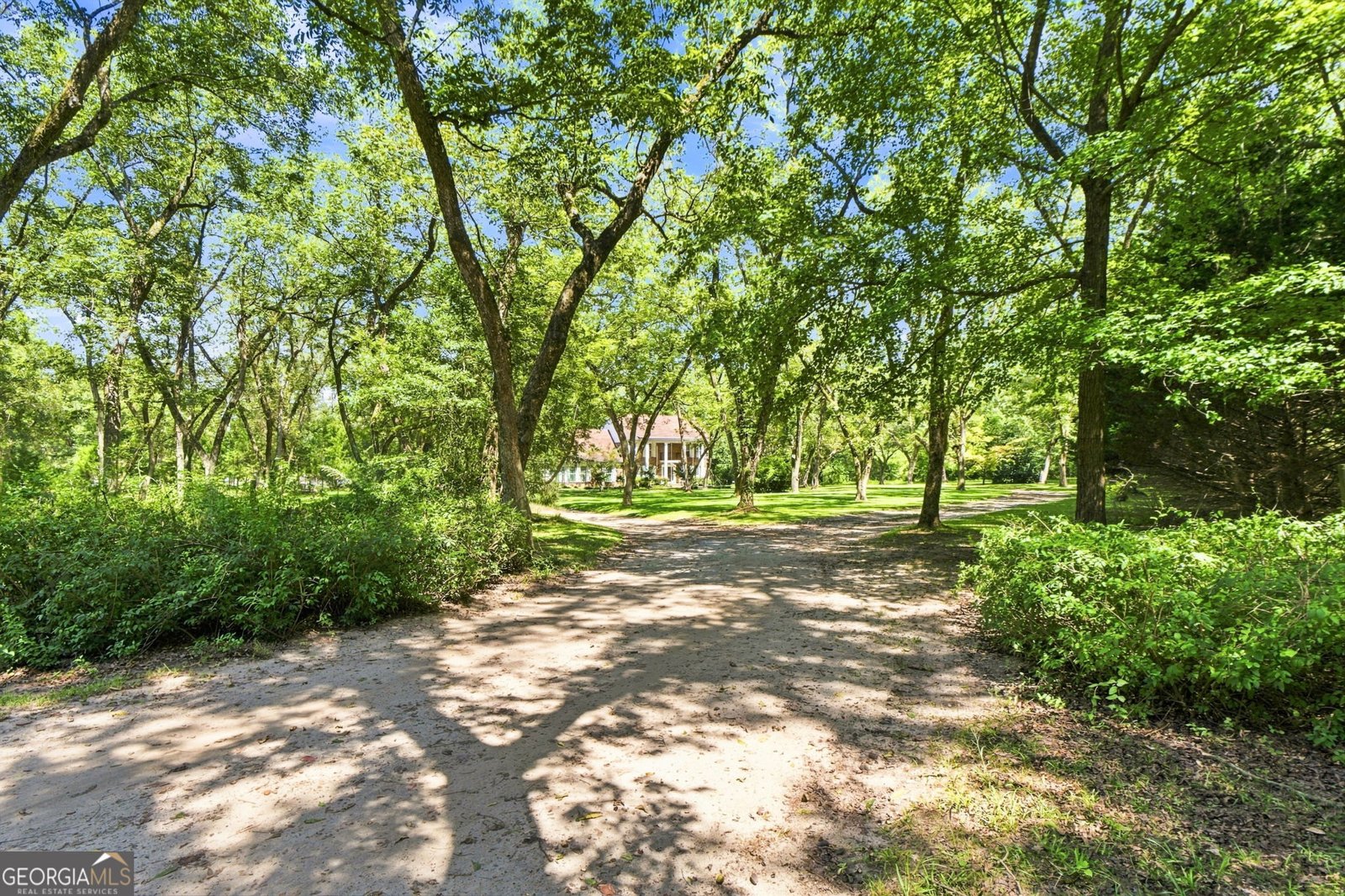 169 Silver Dollar Road Barnesville - Photo 51