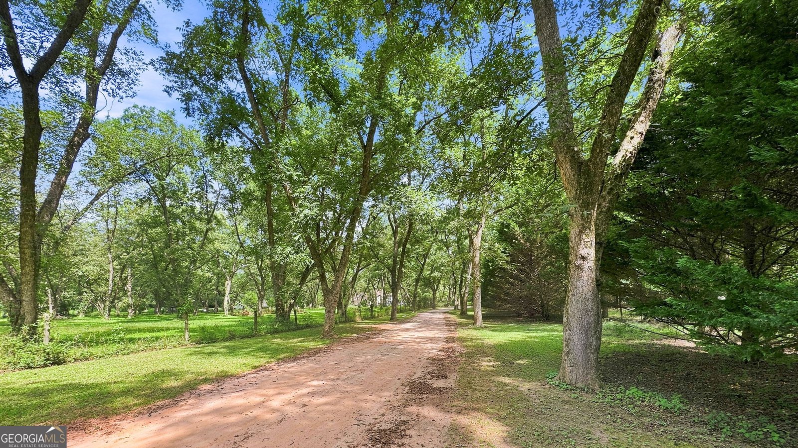 169 Silver Dollar Road Barnesville - Photo 57