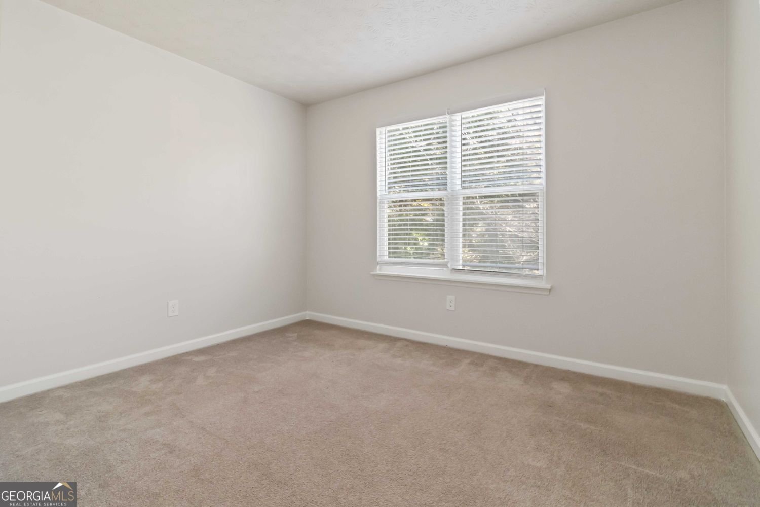 2725 Wildflower Lane Snellville - Photo 23
