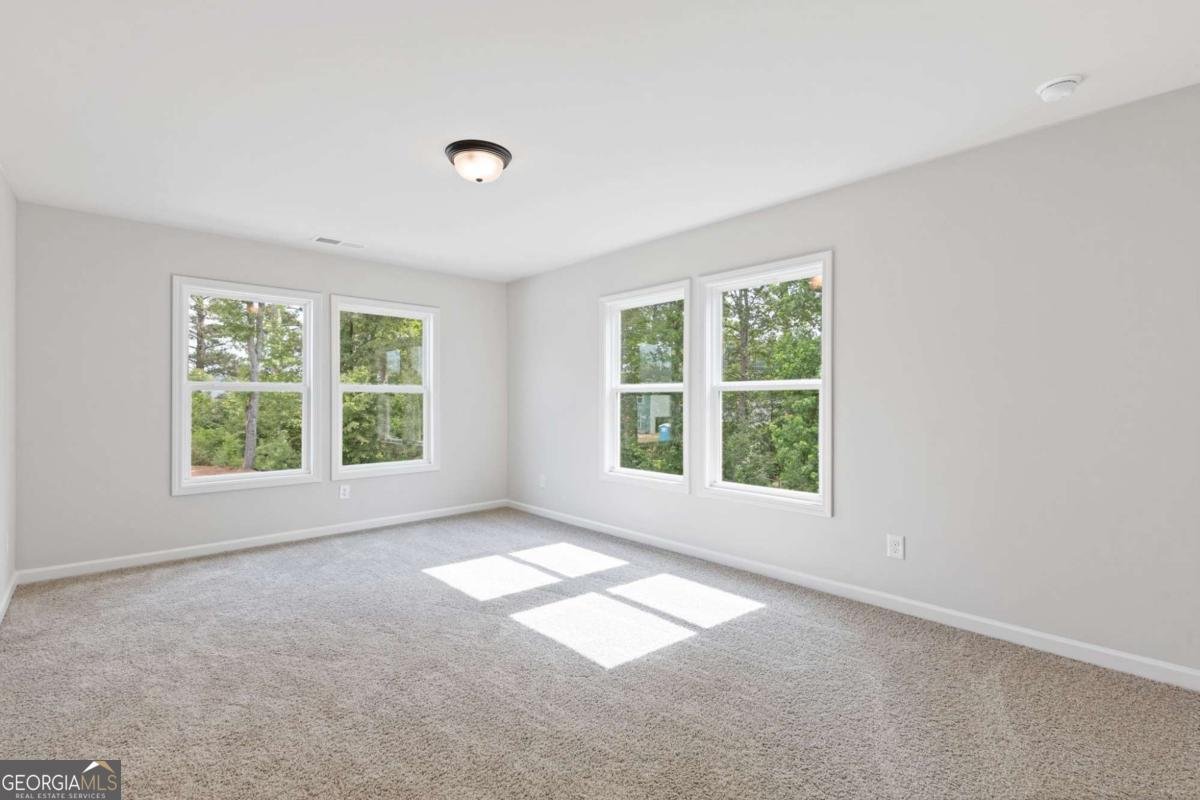 389 Summerville Lane Athens - Photo 19