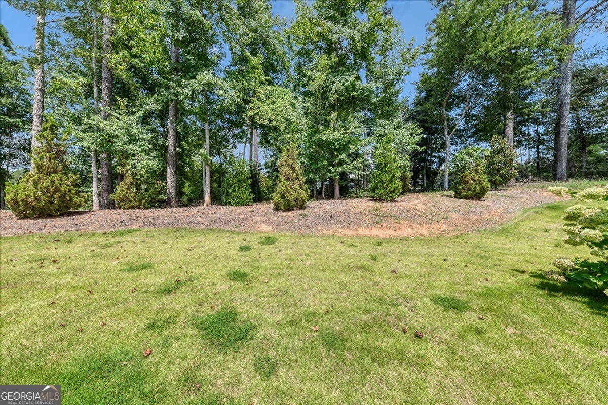 40 Red Oak Circle Buchanan - Photo 46