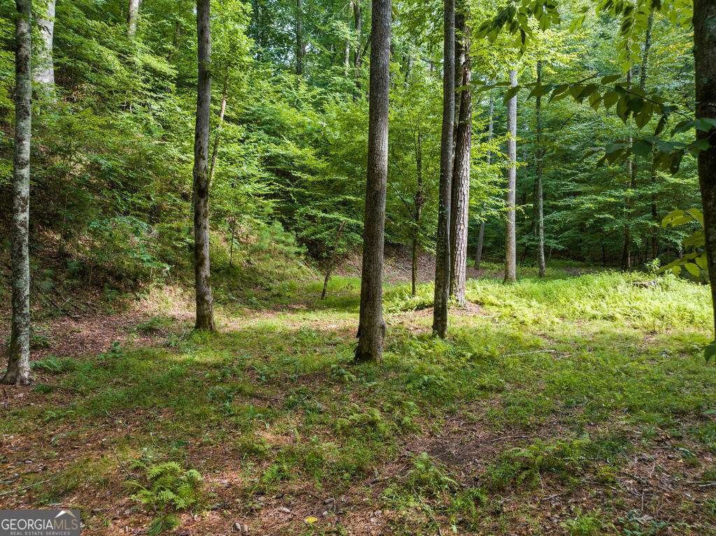 434 Lemmon Drive Ellijay - Photo 10