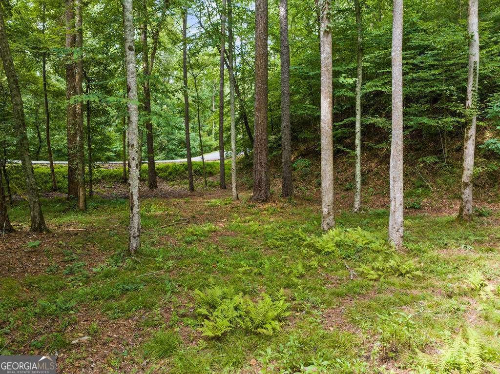 434 Lemmon Drive Ellijay - Photo 11