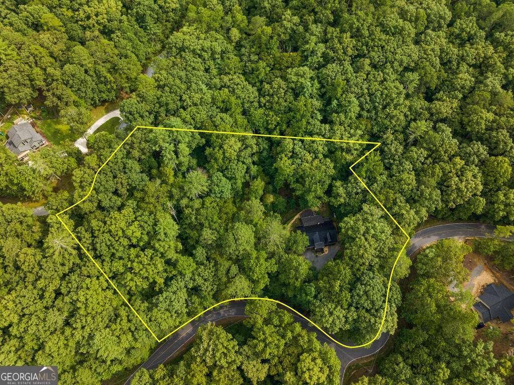 434 Lemmon Drive Ellijay - Photo 43