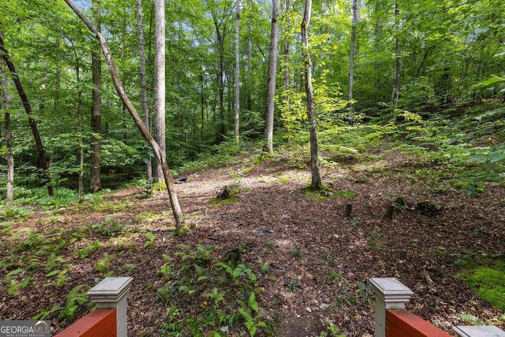 434 Lemmon Drive Ellijay - Photo 46