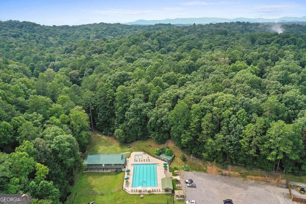 434 Lemmon Drive Ellijay - Photo 49