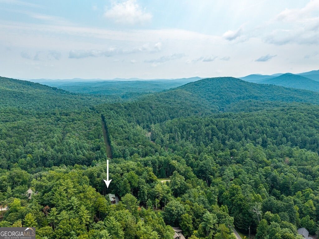120 Bell Camp Ridge Road Blue Ridge - Photo 28
