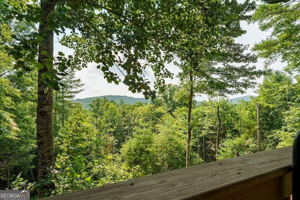 120 Bell Camp Ridge Road Blue Ridge - Photo 32