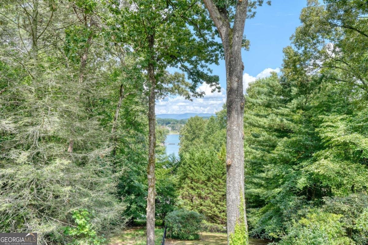39 Mccracken Cove Road Hayesville - Photo 46