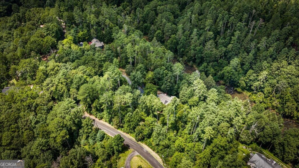 40 Varix Court Ellijay - Photo 105