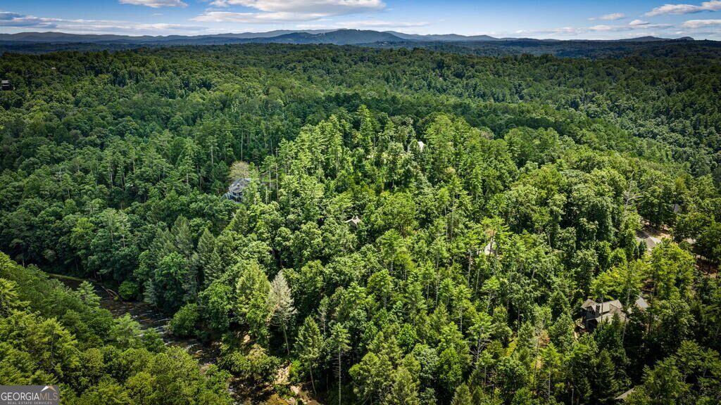 40 Varix Court Ellijay - Photo 107
