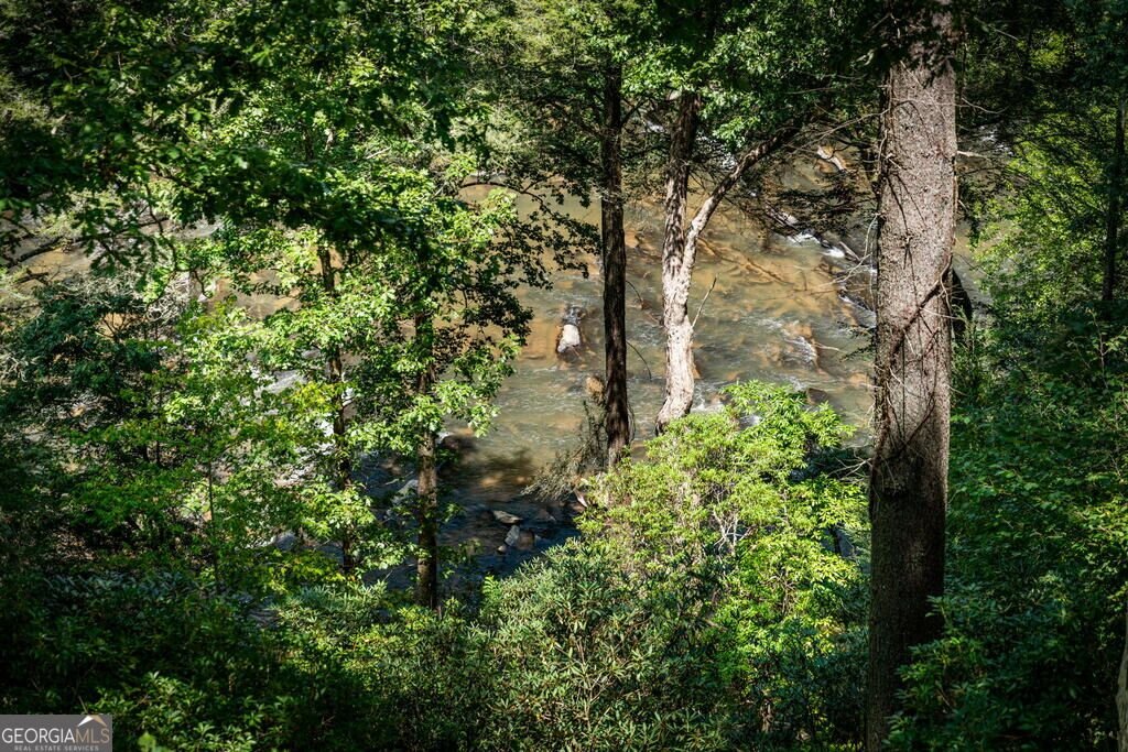 40 Varix Court Ellijay - Photo 123